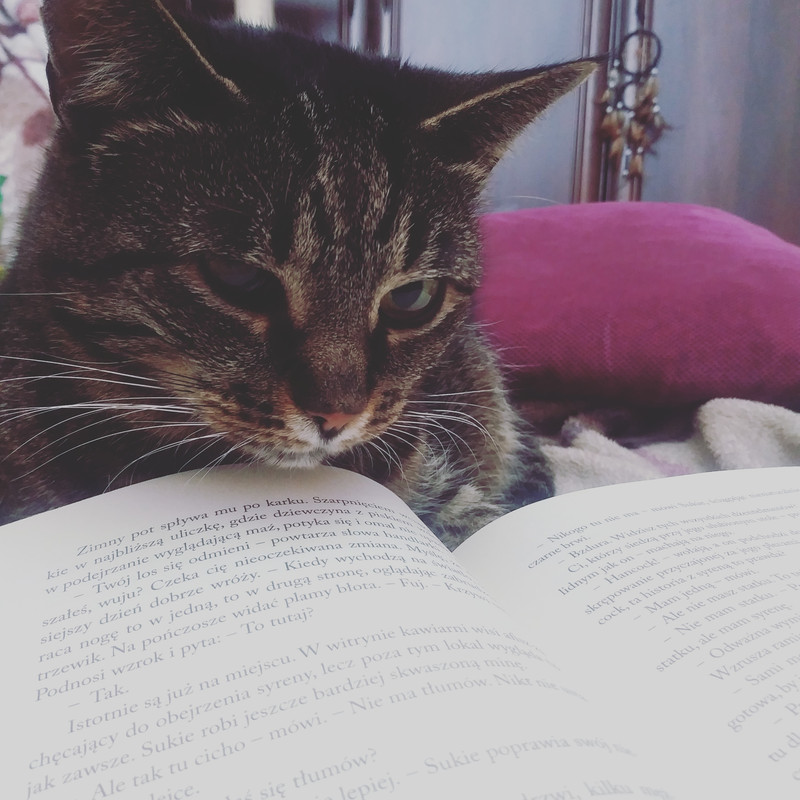 IMG_20210517_172108_104