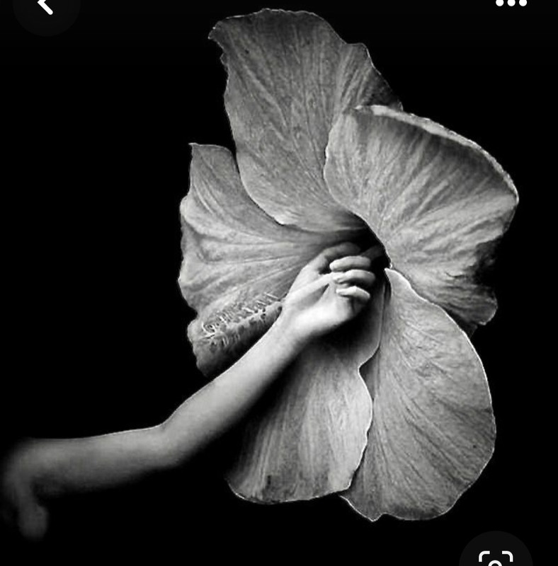 Screenshot_20240129_200637_Pinterest