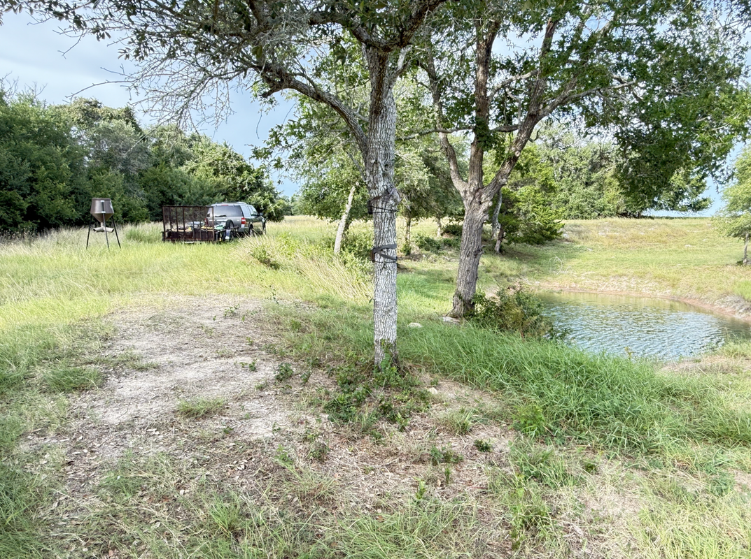 Screen Shot 2025-07-07 at 10.15.17 AM