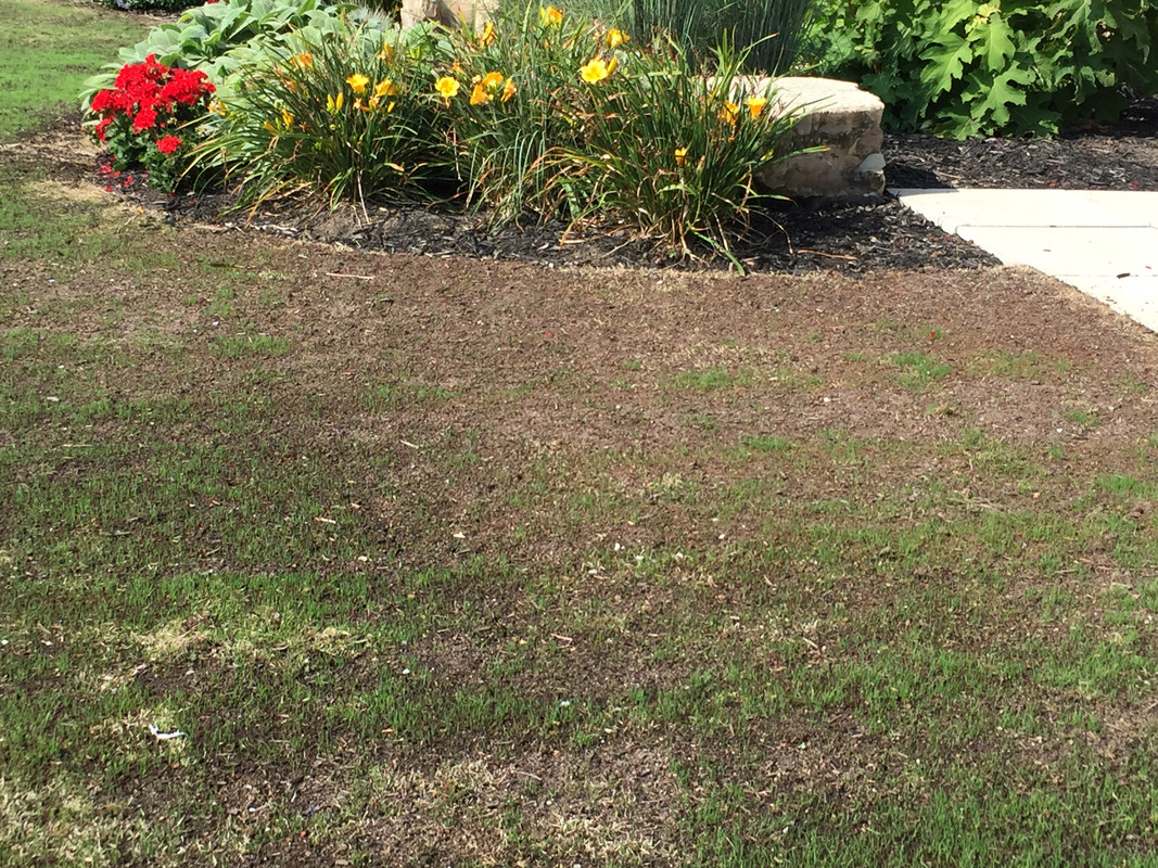 3 AB1 B181 C548 42 B2 B1 CF 072 EA077 BDAF — Postimages