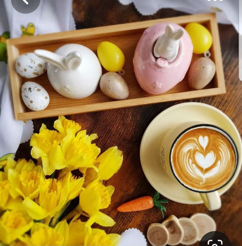 Screenshot_20230317_001044_Pinterest