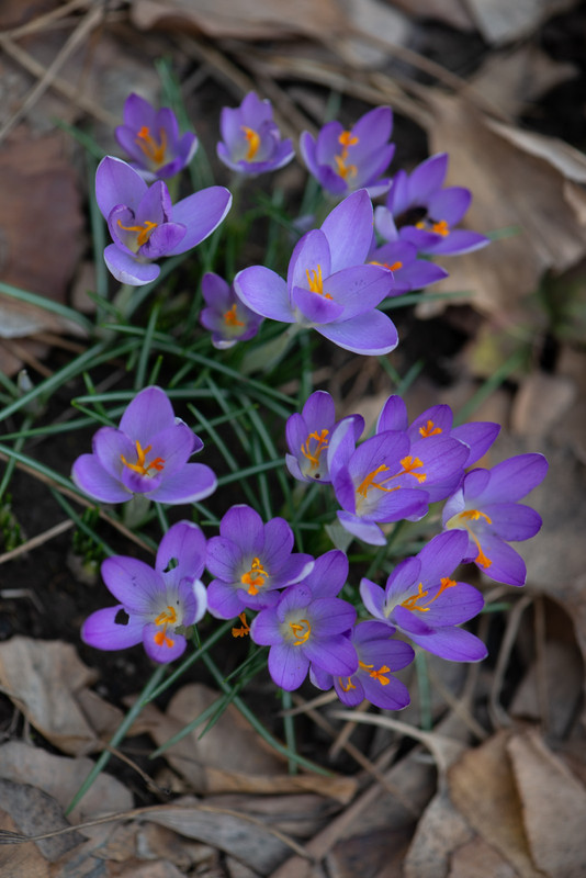 IMG-0eeb57f4746350db6f9add3e0f4b0733-V