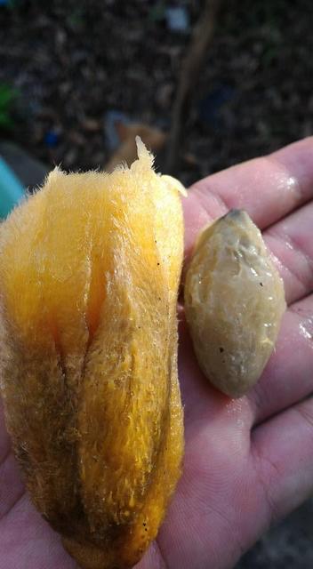 20993065_1517150028346834_1576841254330547255_n