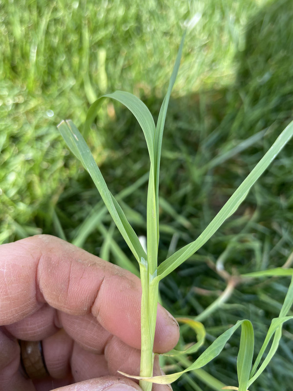 23254047-9384-445C-999D-C9F42348010F