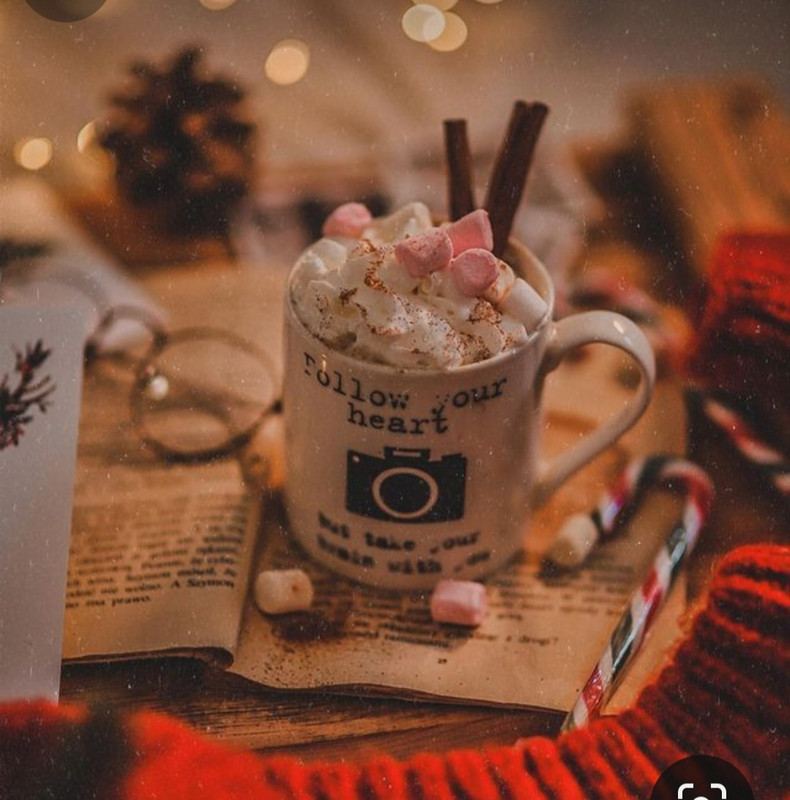 Screenshot_20231120_231531_Pinterest