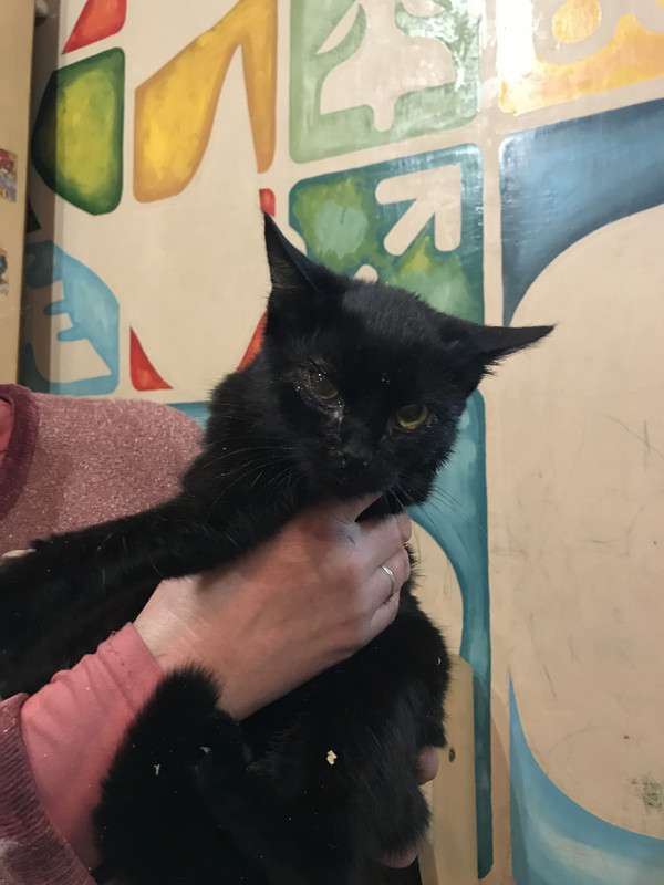 625341E3-6DD1-4988-8F8B-FDC731793E94