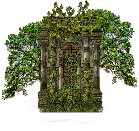 Into The Jungle (77)