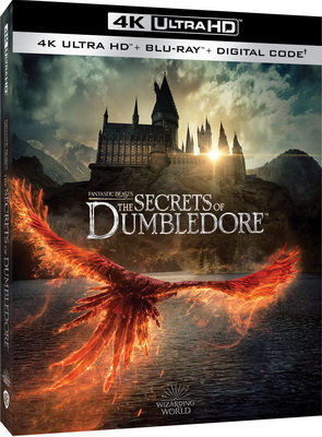 Animali Fantastici 3 - I Segreti di Silente (2022) .mkv VU Blu-ray 2160p UHD DV HDR10 HEVC iTA/ENG TrueHD 7.1 CYBER