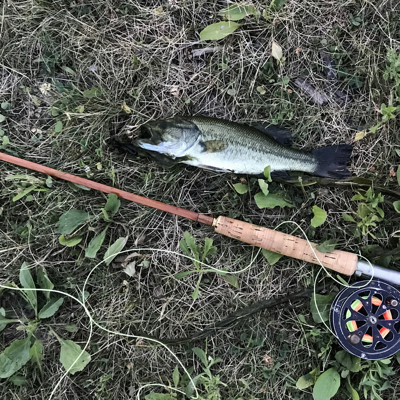 1D22FBD5-D946-4E37-BB9A-046DE05886C8