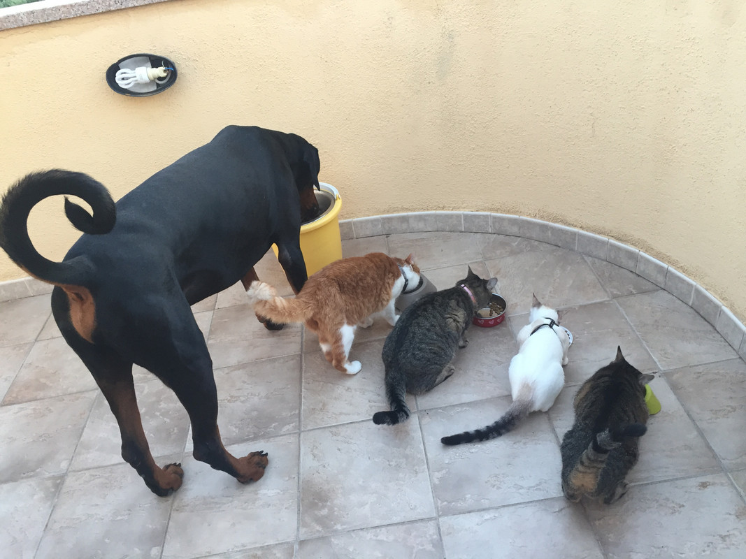 E2353762-0908-4F82-B4C4-1F55AD68D6DC