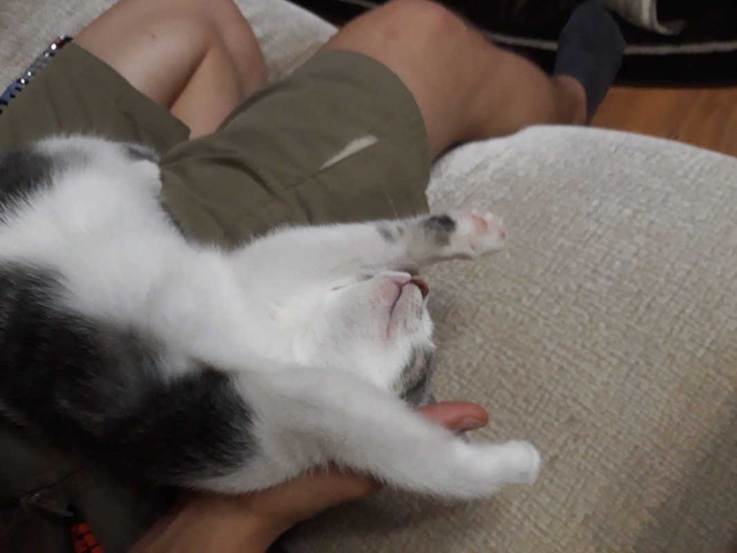 Кукуся _10_18_2