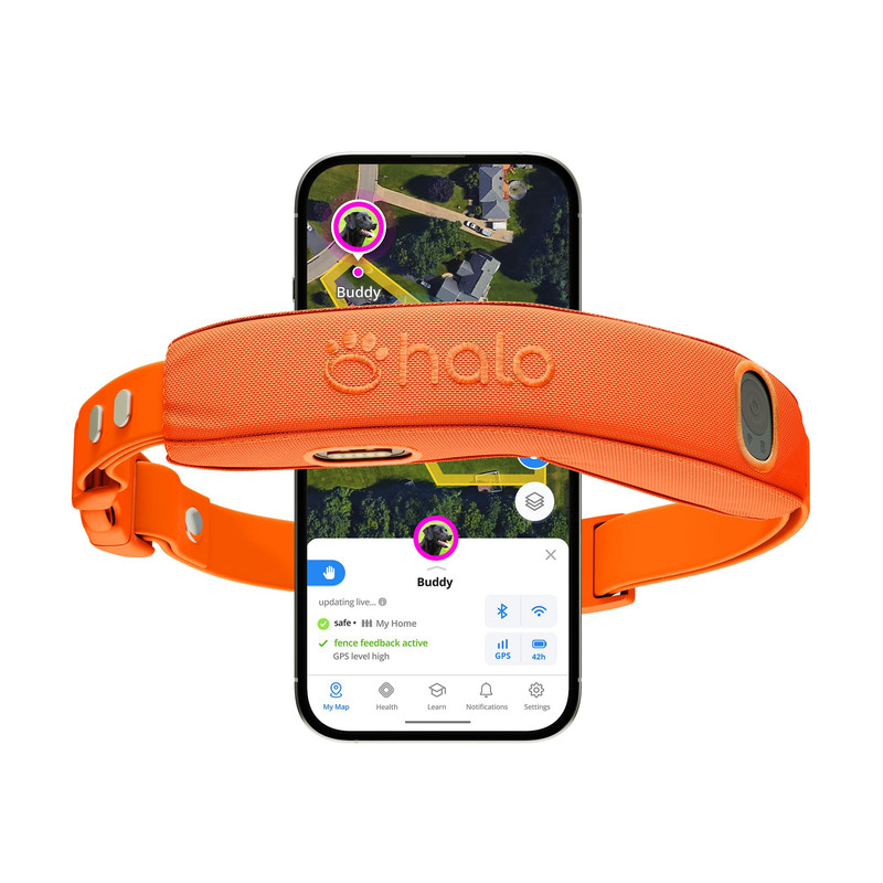 Halo Collar 5 Wireless Dog Fence & GPS Collar Blaze