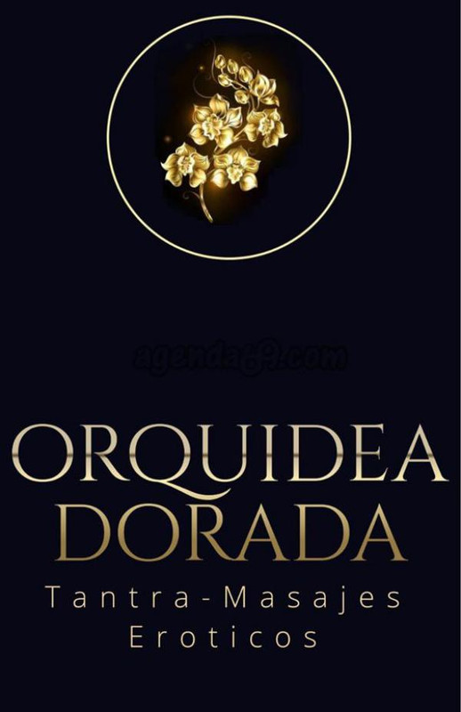 Orquidea-dorada-casa-relax-masajes-valencia-001.jpg