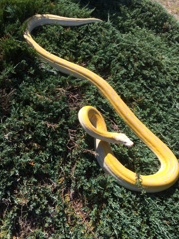 2B0F03F2-4759-4958-AA88-58D8AD44DC28