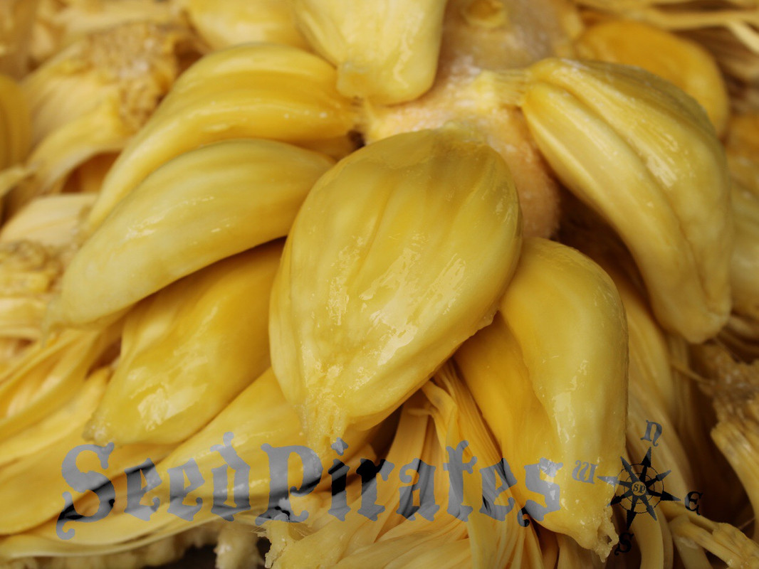 024FA5E0-5C2A-4259-B3E1-339BAD93D9A7