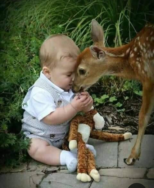 Screenshot_20231030_202744_Pinterest