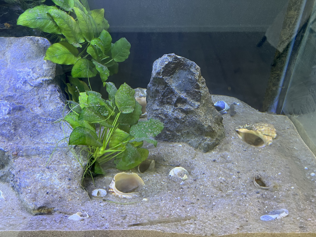 0C89B9AC-EA29-4652-9838-283D7CFA3D6B