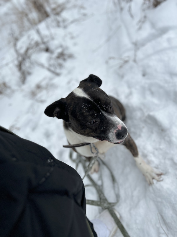 64CB3090-E0B6-499C-BBDE-0936BA92F2DB