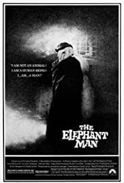 elefant.jpg