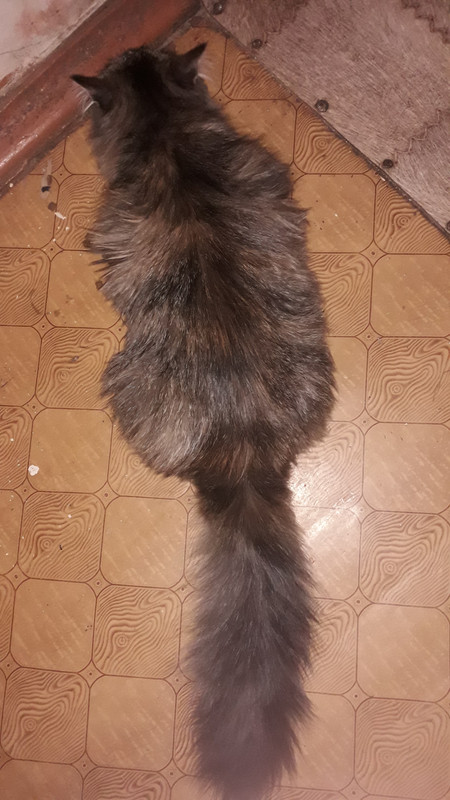 20211116-004852.jpg