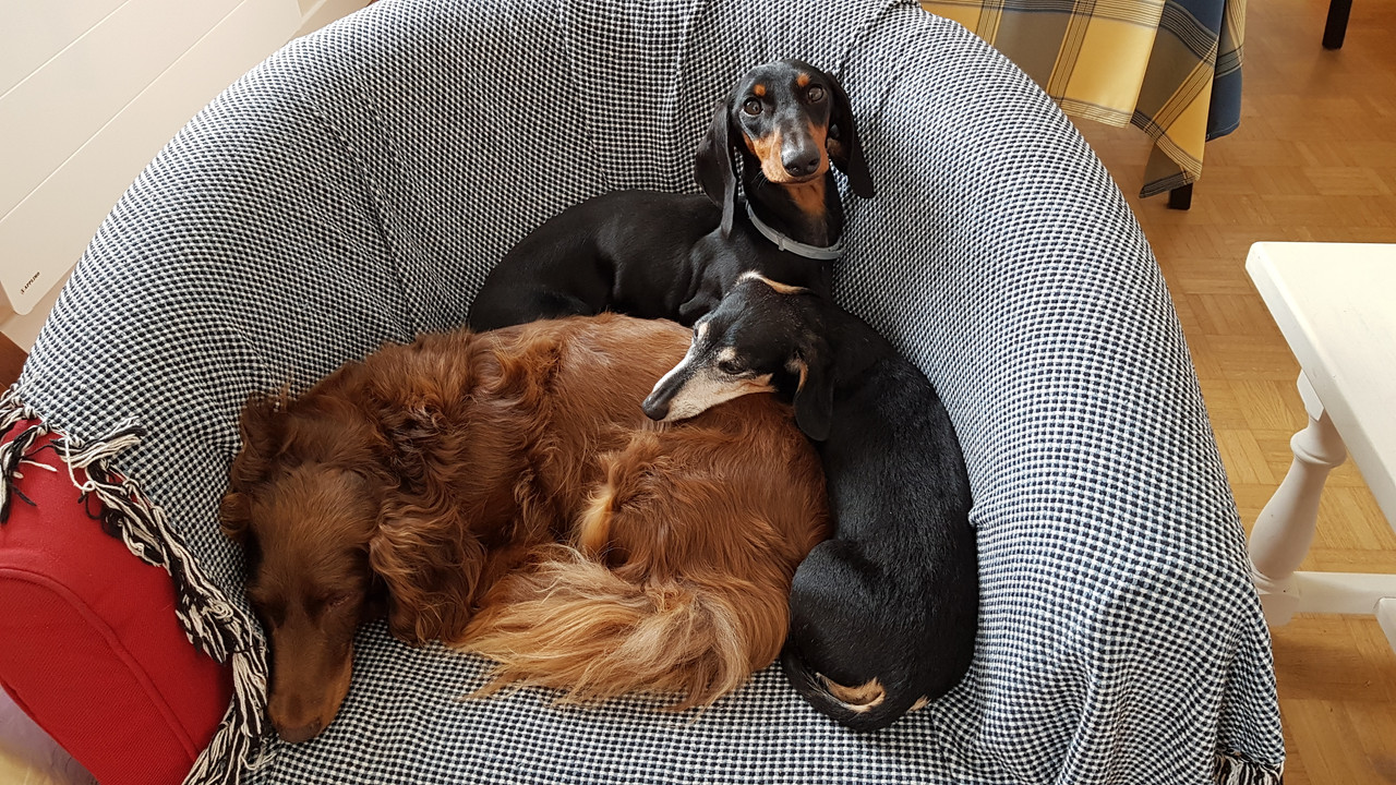 [Image: 20200922-142351.jpg]