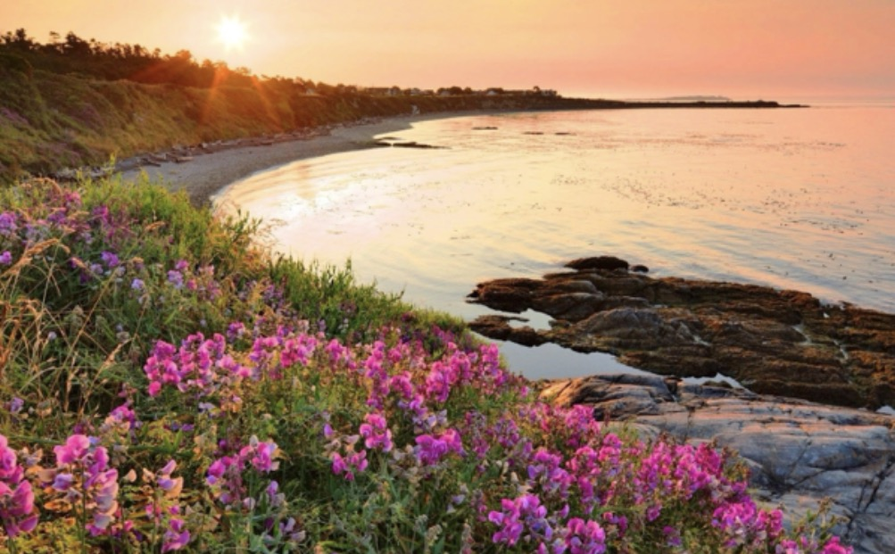 [Image: botanic-shores.png]