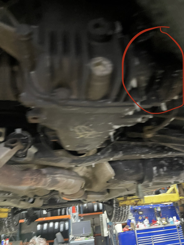 186ABB44-2925-4D68-A686-AB4E9DBA1B65