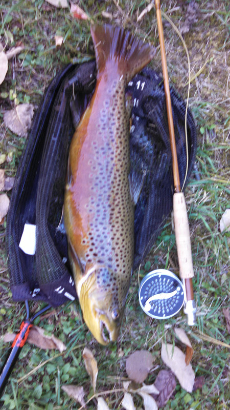 IMG_20161010_143836_661