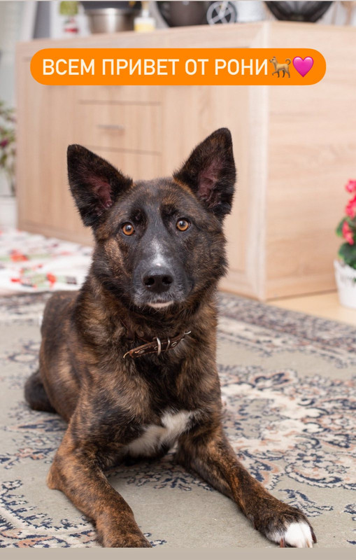 IMG-504363bef1be4215ce99dae755c30f90-V