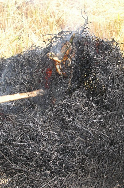 [Image: untdêitled.png]