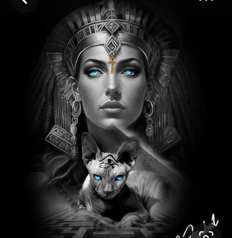 Screenshot_20230702_222632_Pinterest