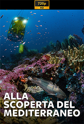 Alla scoperta del Mediterraneo (2020) .mkv DLMux 720p E-AC3+AC3 ITA SUBS