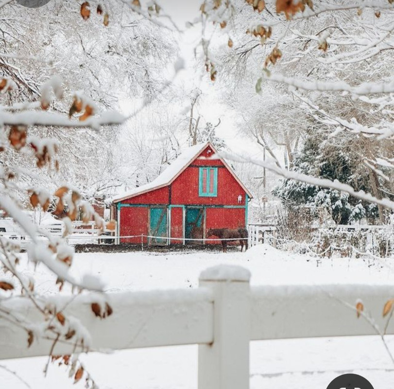 Screenshot_20240110_214736_Pinterest