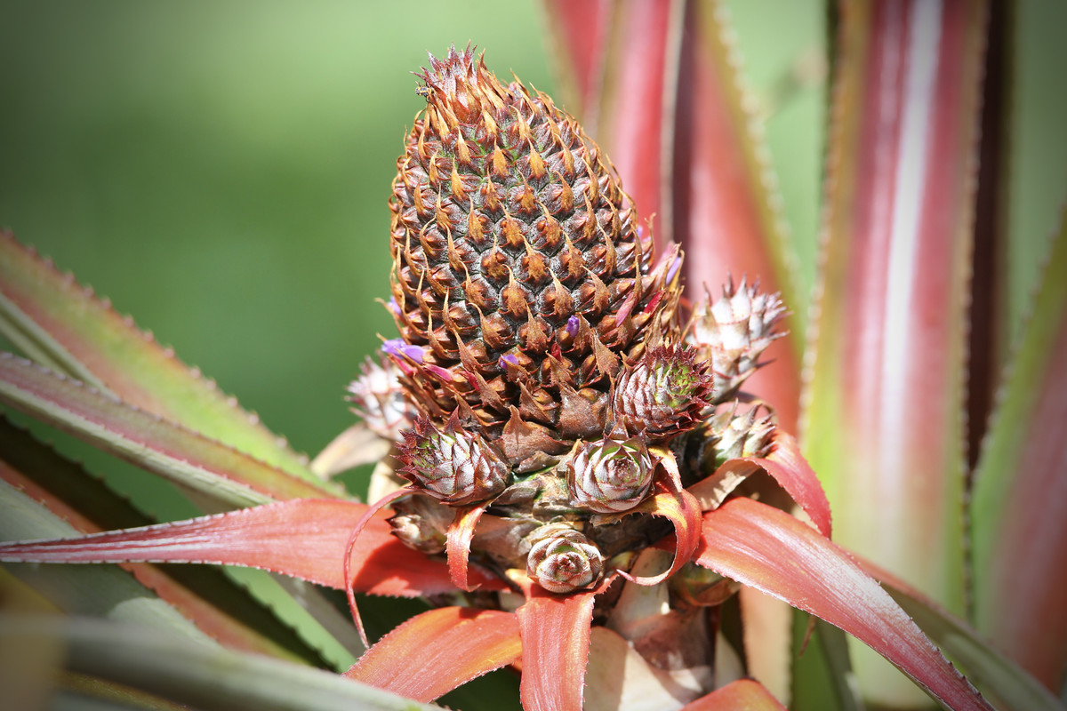 0F853CB3-2BD7-457A-AF4F-E78E77662EB6_1_201_a