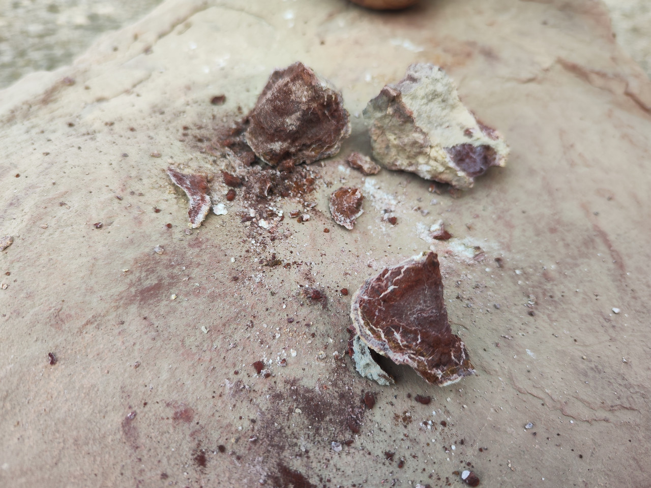 IMG 20251221 152114 1