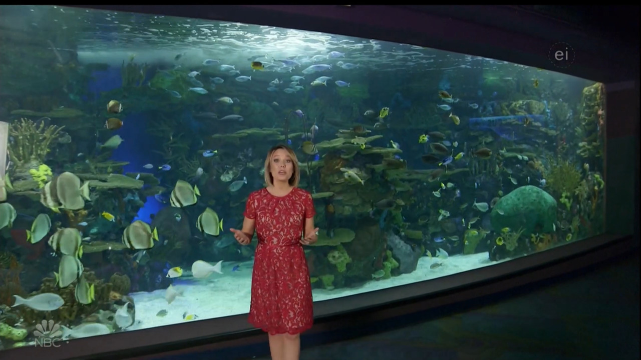 11.07 - 15.00.00 - Earth Odyssey With Dylan Dreyer. The world's smart....ts_snapshot_01.05.11.022