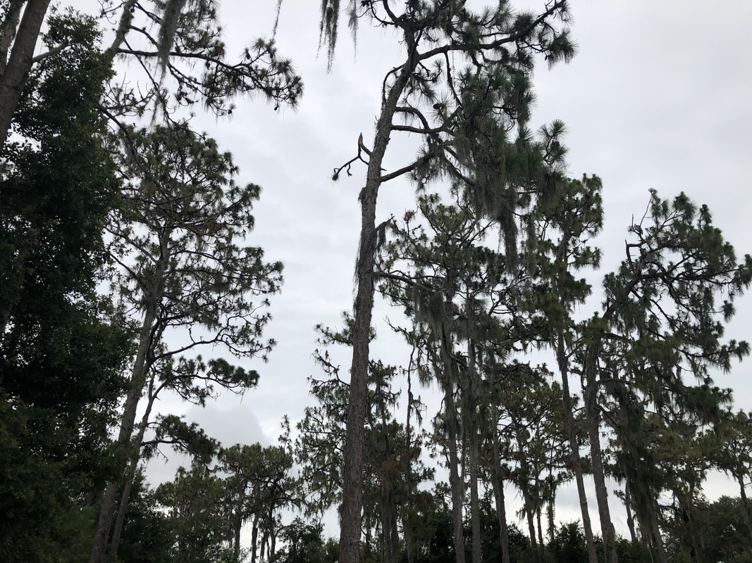 F511A103-FD16-4836-A1A8-93FC7EF5EF8E