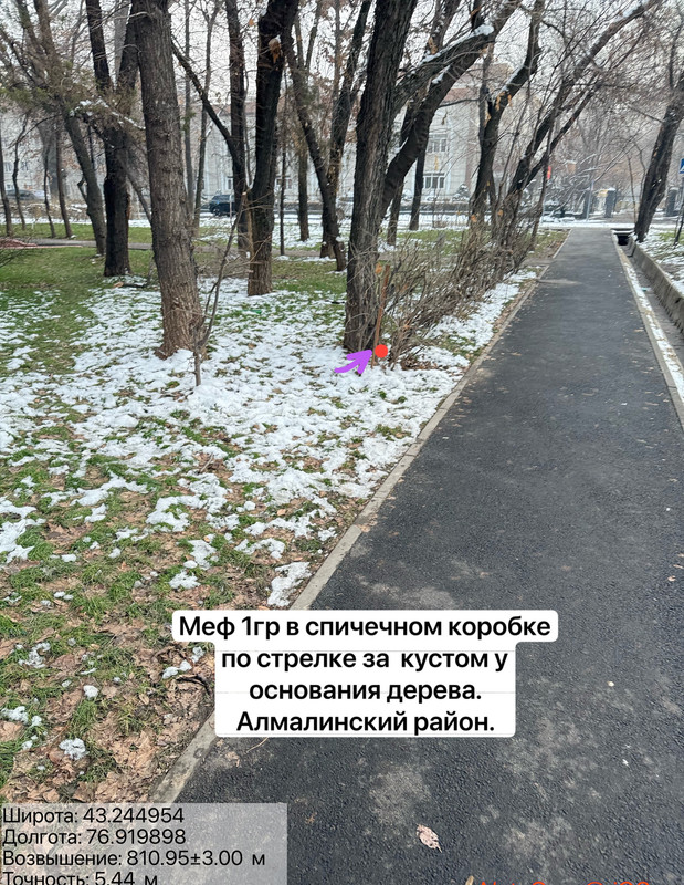 62e0f849139b7774f3720e6e1439b456