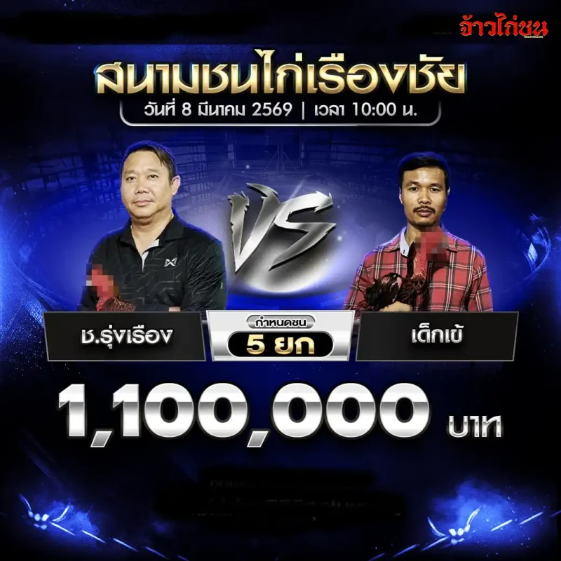 โปรแกรมไก่ชน ช.รุ่งเรือง vs เด็กเข้ สนามชนไก่เรืองชัย 8 มีนาคม 2569