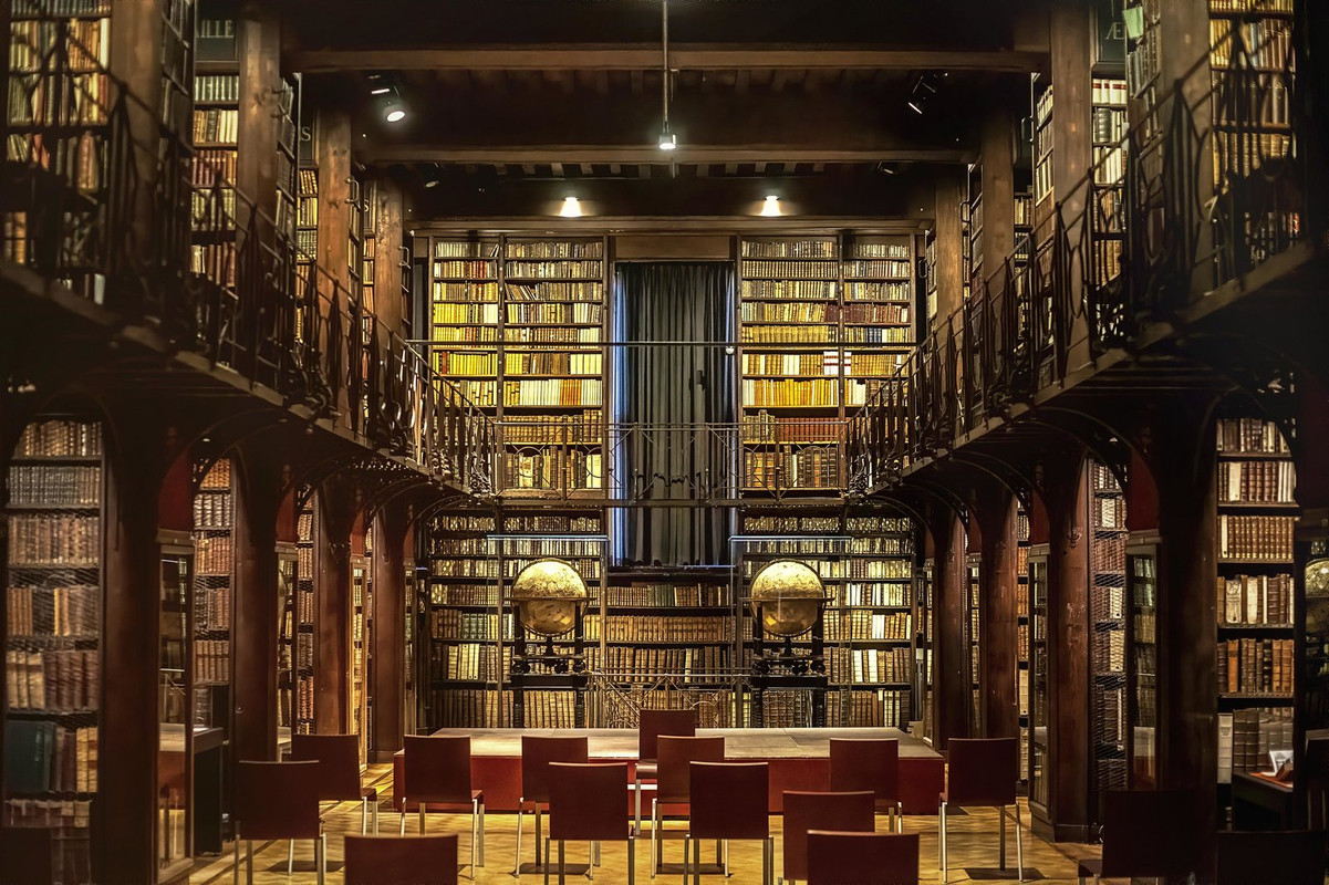 brown-library-antwerp.jpg