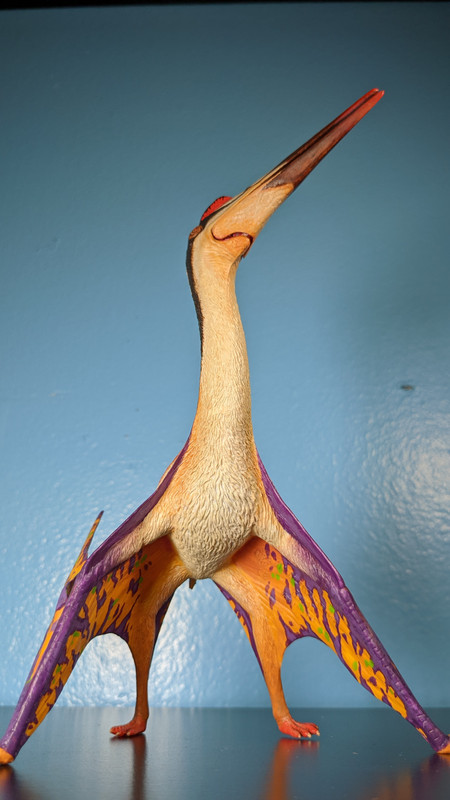 Custom Dinotopia Quetzalcoatlus "Skybax" by paintingdinos PXL-20220306-012014530-MP