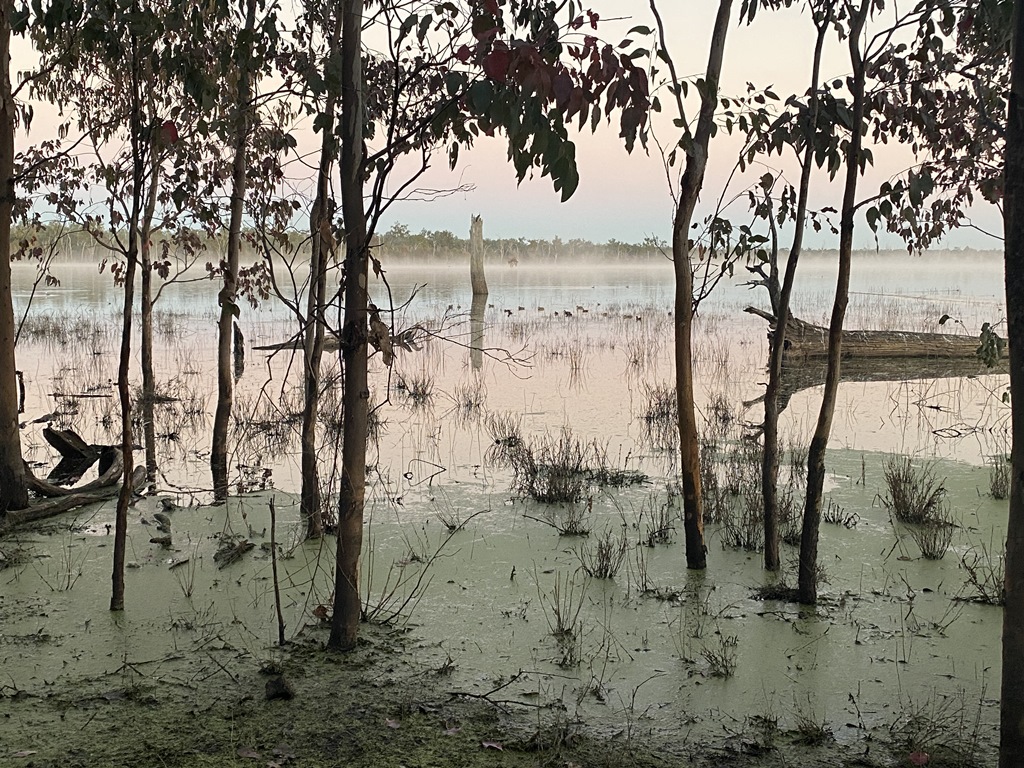 2022 (Jun) - Central (Nth) Qld Solo Trip(web) (137)