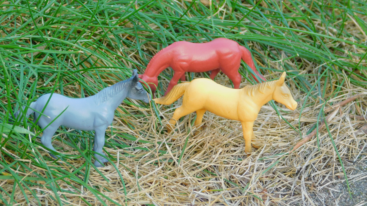 сентябрь дачно-миниатюр 2025 117