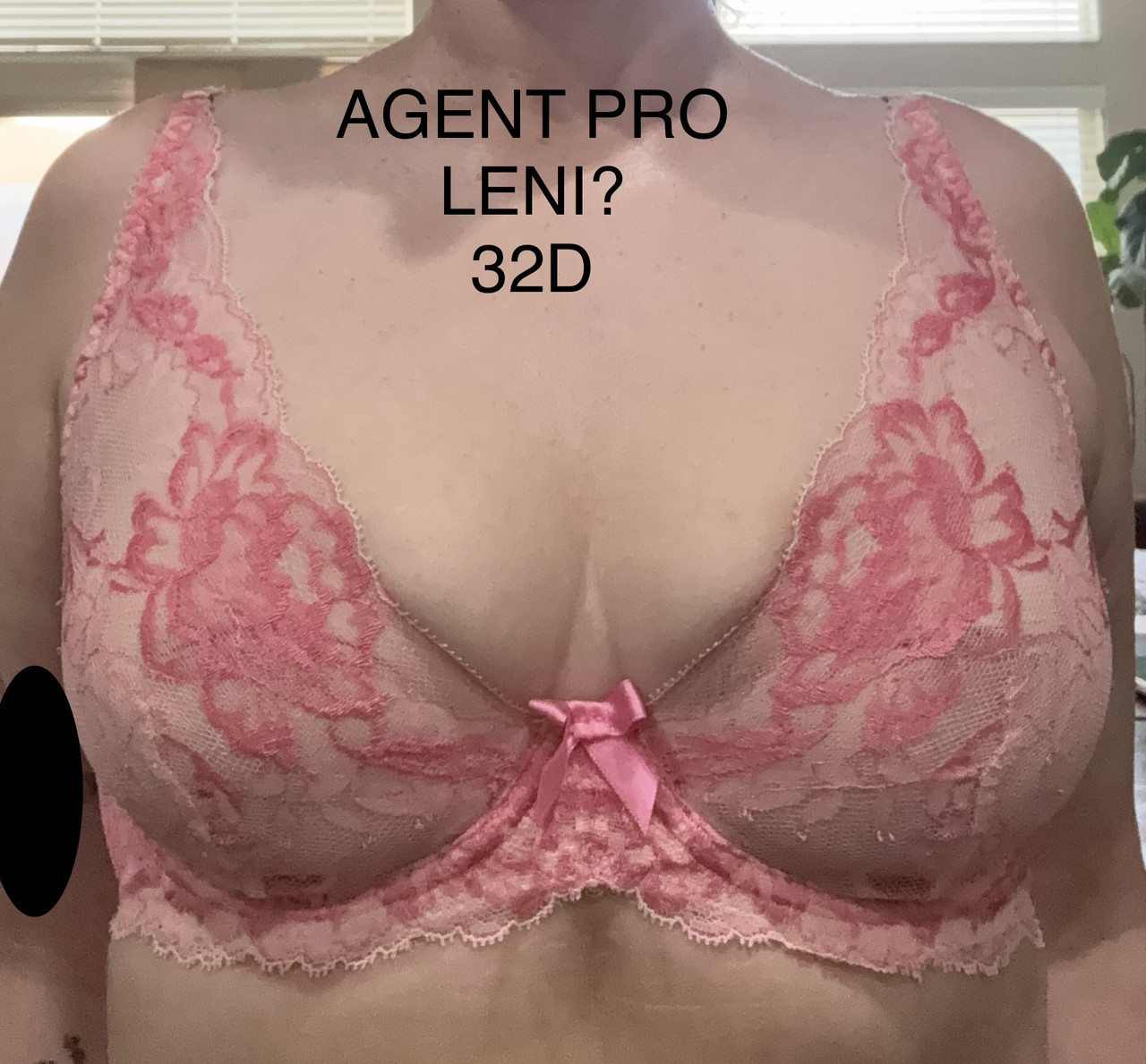 IMG 0948