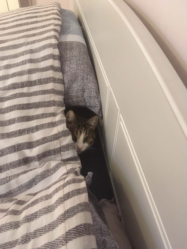 260D540A-B468-49FD-A243-6EA8096B06FE