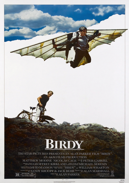 Ptasiek / Birdy (1984) MULTi.1080p.BluRay.REMUX.AVC.DTS-HD.MA.2.0-OK | Lektor i Napisy PL