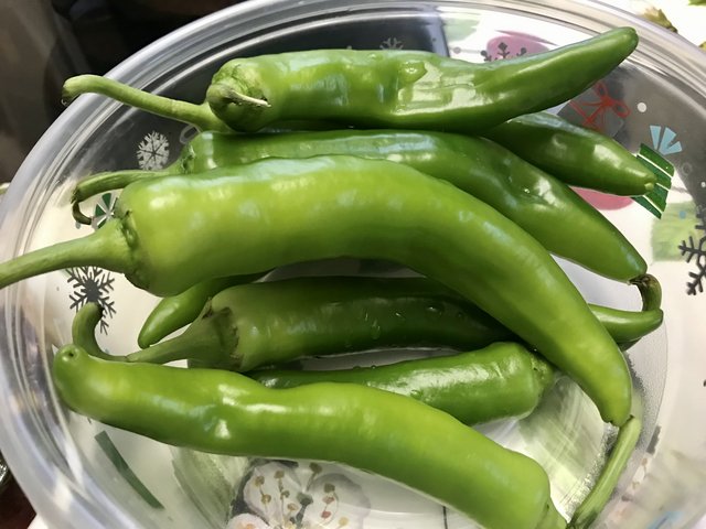 [Image: 1624-D6-F8-0-FE5-47-EC-81-E2-173270-FCD67-F.jpg]