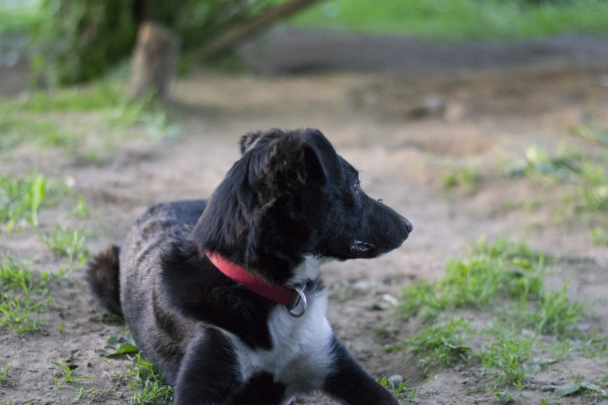 Дакота_06_18_20