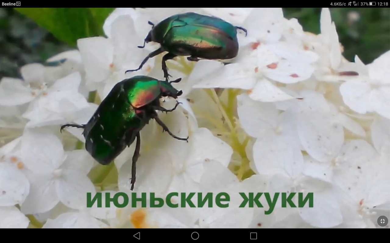 Screenshot_2023-06-07-12-18-56