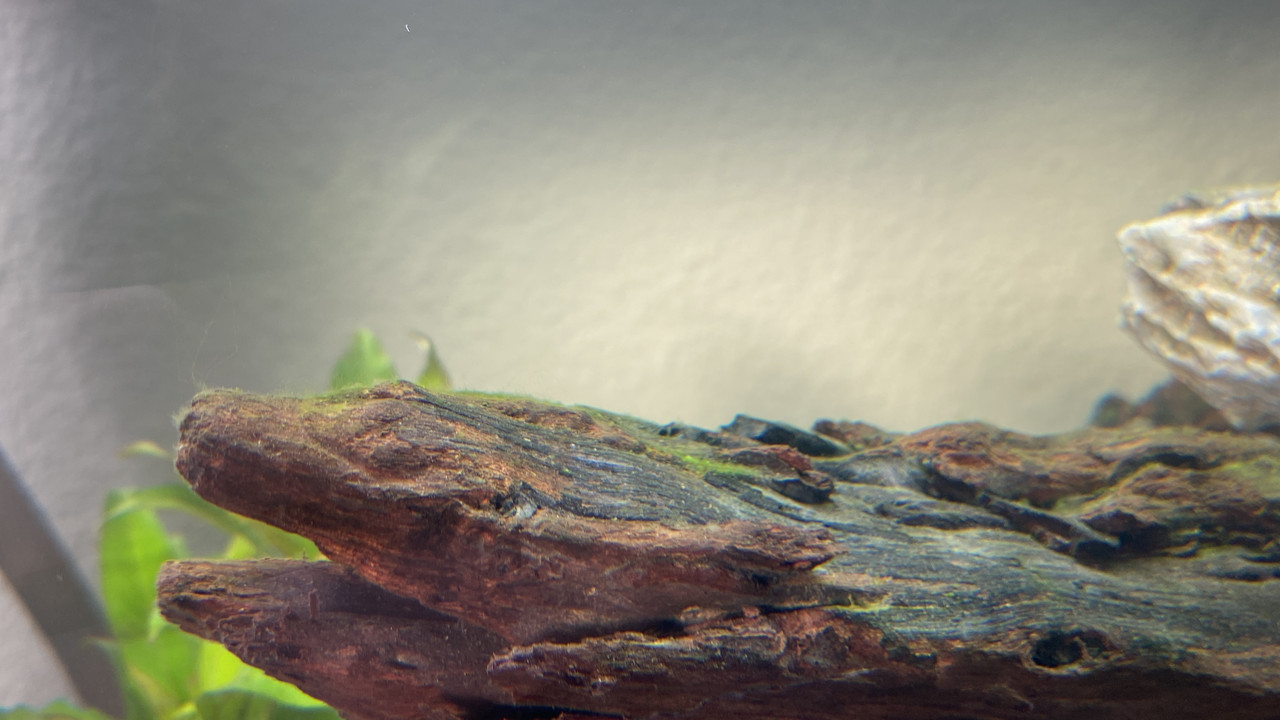 145B2EBB-4136-4342-8FA0-DE40A4B7604C